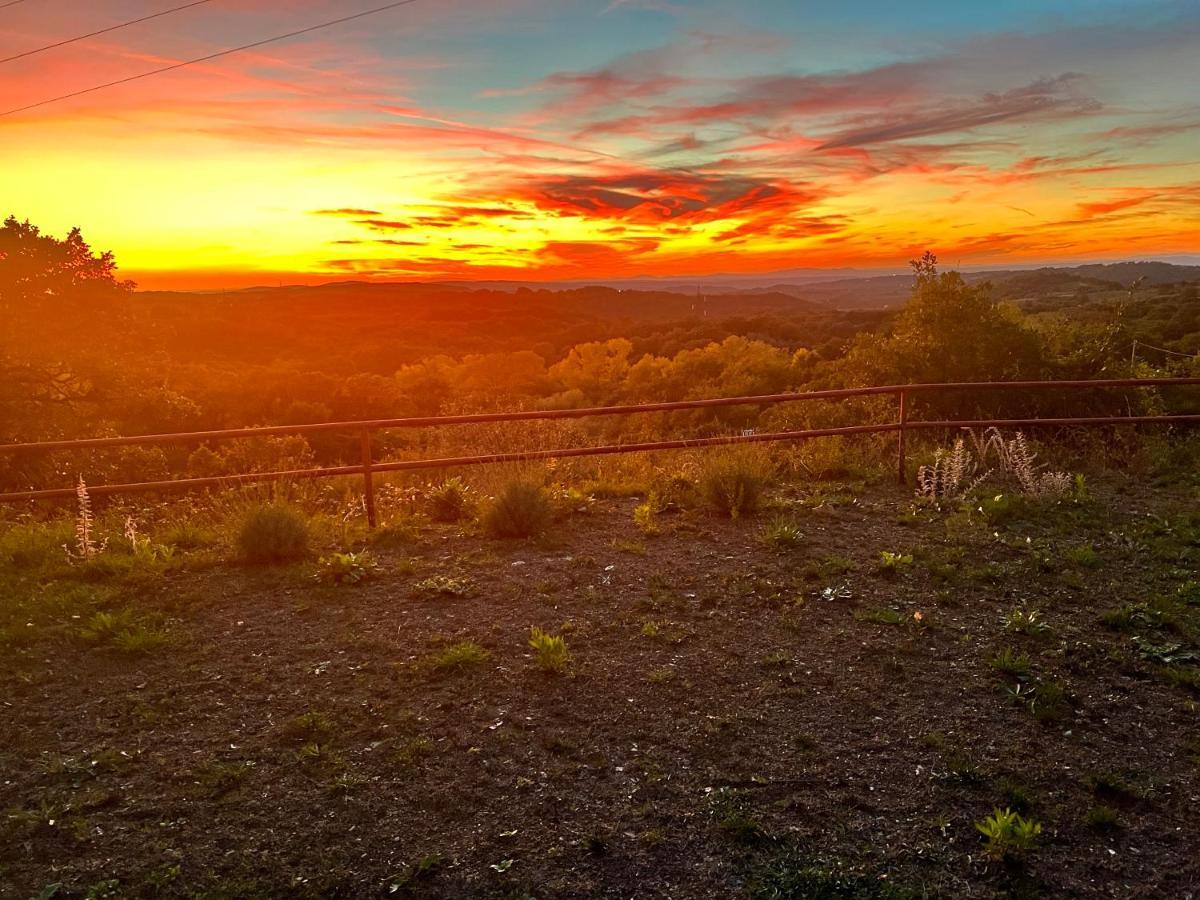 B&B Il Tramonto Barbarano Romano ภายนอก รูปภาพ